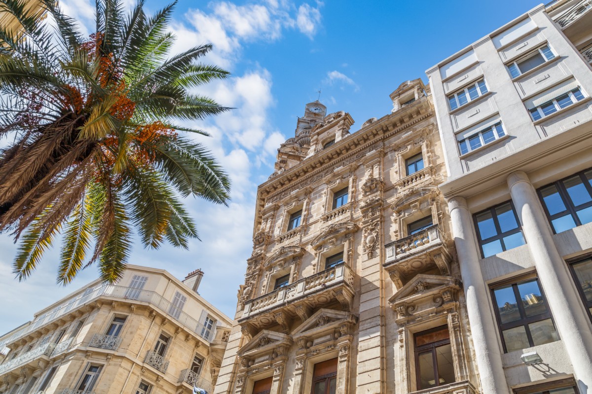Façades d'immeubles et palmier chargé de dattes sous un ciel bleu à Toulon
